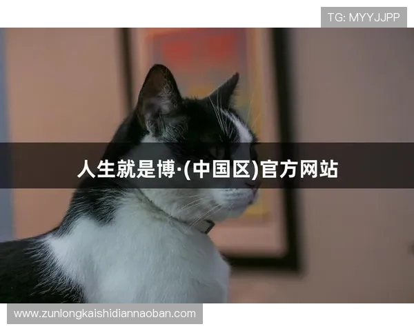 尊龙网站人生就是博,成功与失败中的智慧分享 尊龙网站人生就是博,成功与失败中的智慧分享