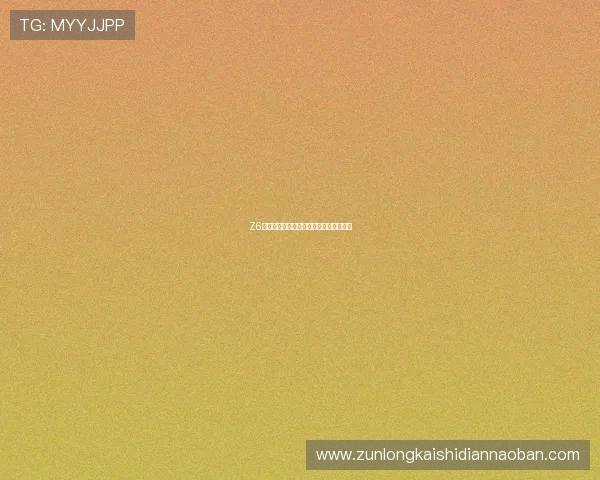 Z6备用会员的功能特色与实际应用场景分析